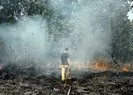 Edirne’de Bulgaristan sınırında orman yangını!
