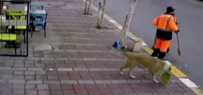 Esenyurt’ta sokak köpeği temizlik görevlisinin süpürgesini alıp kaçtı! O anlar kamerada