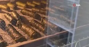 Adına şarkı yazılan Tokat sarması