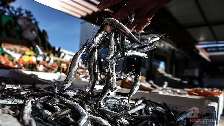 Kanuni sofrasından eksik etmezdi! Tezgahlarda yerini aldı! Kalp dostu... 8