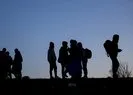 Van’da kaçak göçmen operasyonu