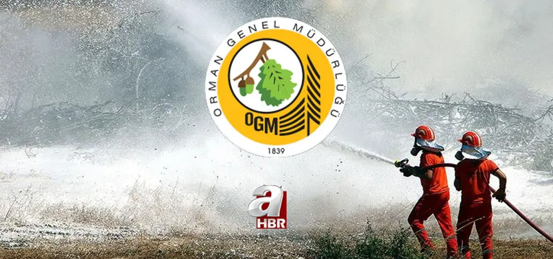 OGM işçi alımı son dakika: 2021 Orman Genel Müdürlüğü mevsimlik işçi alımı başvuru ne zaman? Kadro dağılımı ve şartlar...