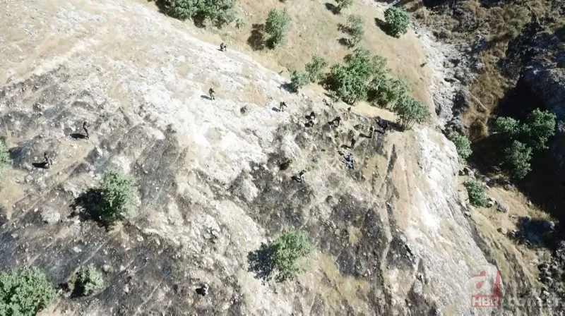 Batman'da PKK'lı 4 teröristin teslim oluşu kamera görüntülerine yansıdı. 21