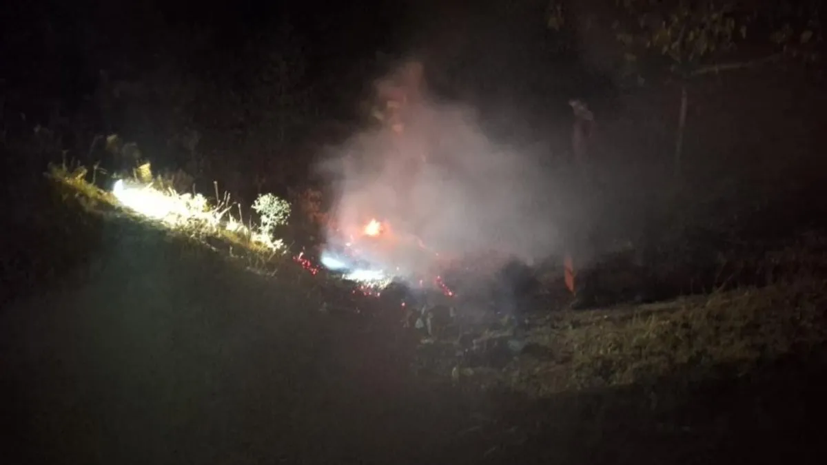 Bingöl'de ormanlık alanda yangın! Alevler büyümeden kontrol altına alındı