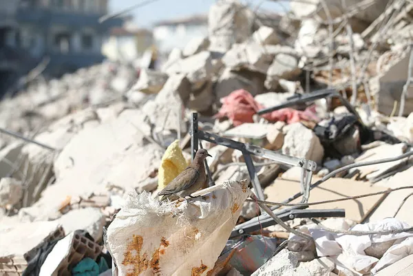 Kat yüksekliklerine kısıtlama kararı! Bakan Murat Kurum duyurdu: Depremde etkilenen illerde yeni imar planı çalışmaları yapıyoruz