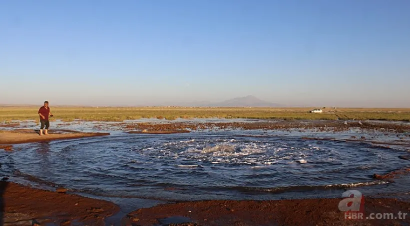 En son 2016'da görülmüştü yeniden ortaya çıktı! Tedirgin eden görüntüler: Uzmanından açıklama 11