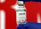 Yerli aşı TURKOVAC’ın yan etkisi var mı?