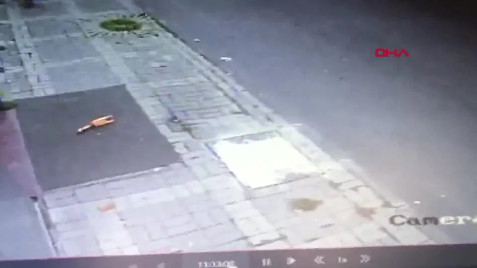 Yavru köpeği ezip yoluna devam etti