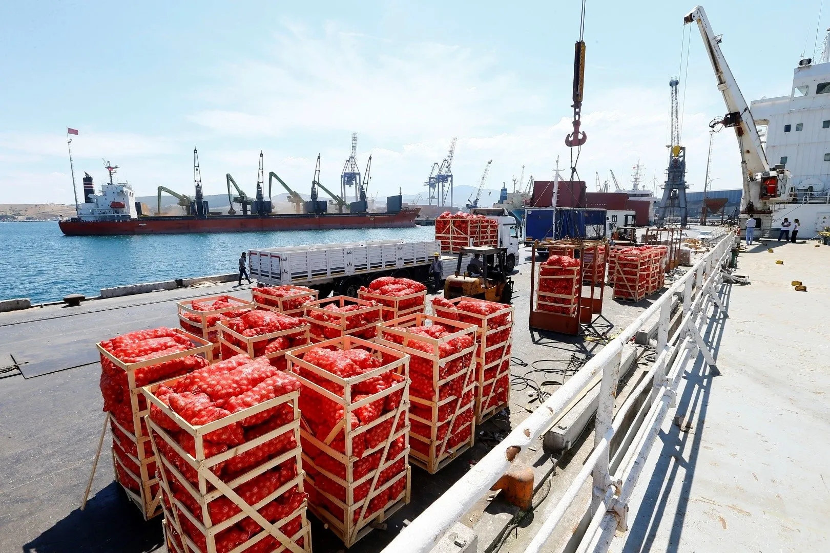 Fruit ship. Погрузка фруктов на судно. Погрузка скоропортящихся грузов. Генеральные грузы на судах. Генеральный груз на судне.