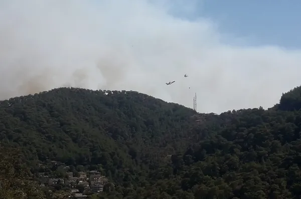 Türkiye genelindeki yangınlarda son durum ne? Tarım ve Orman Bakanı Bekir Pakdemirli son dakika olarak açıkladı