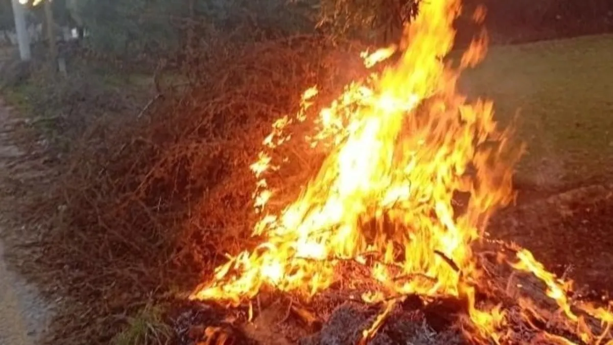 Muğla'nın iki farklı noktasında orman yangını! Alevler kontrol altına alındı