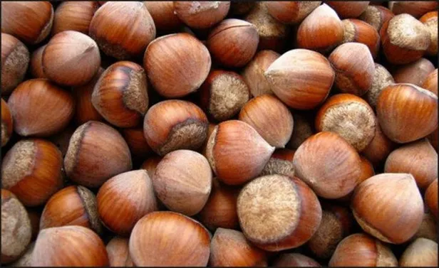 Fındık fiyatları ne zaman açıklanacak 2021? Fındık taban fiyatları açıklandı mı, belli oldu mu? İşte il il liste... - 4