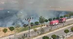 Korkutan yangın! Buğday tarlası alev alev yandı