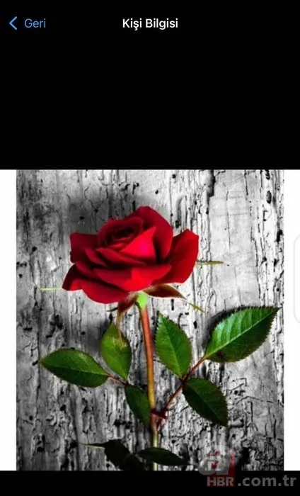 İstiklal Caddesi'ndeki hain saldırıyla ilgili yeni detay ortaya çıktı! Kırmızı gülün gizemi... 5