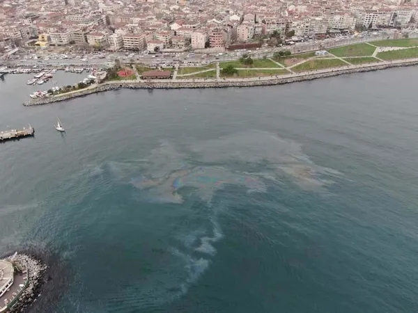 Marmara Denizi’nde canlıların yaşamını etkileyen atıklar gün yüzüne çıktı