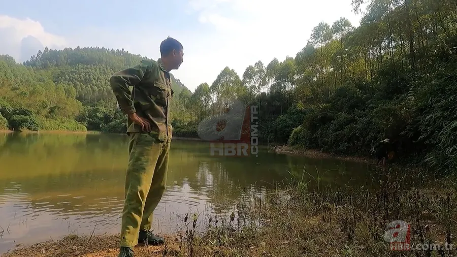 Dev anakonda yılanı nehirde yüzen gençlere saldırdı! Korku dolu anlar görüntülendi 2