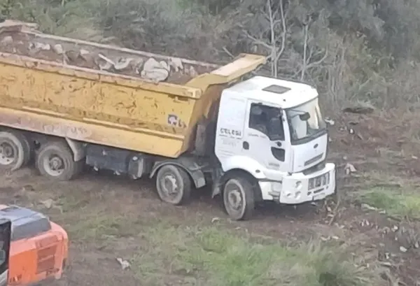 CHP'li Narlıdere Belediyesi'nin durmak bilmeyen ağaç katliamı! - 3