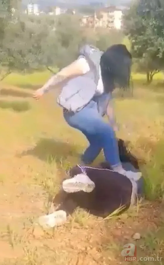 Antalya’da kızların birbirilerine tekmelerle saldırdığı erkek kavgası kamerada! 3 gözaltı