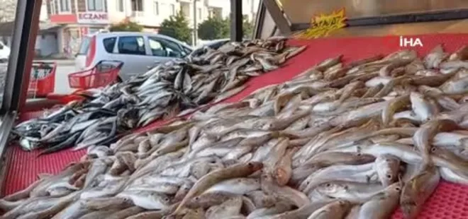 Karadeniz'deki bolluk tezgahlara da yaradı