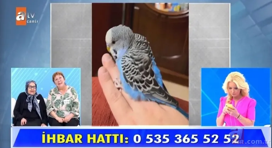 Ayşe Teyze'nin kaybolan Maviş'i Milyoner'de! Müge Anlı hayranları soruyu bildi bile 3