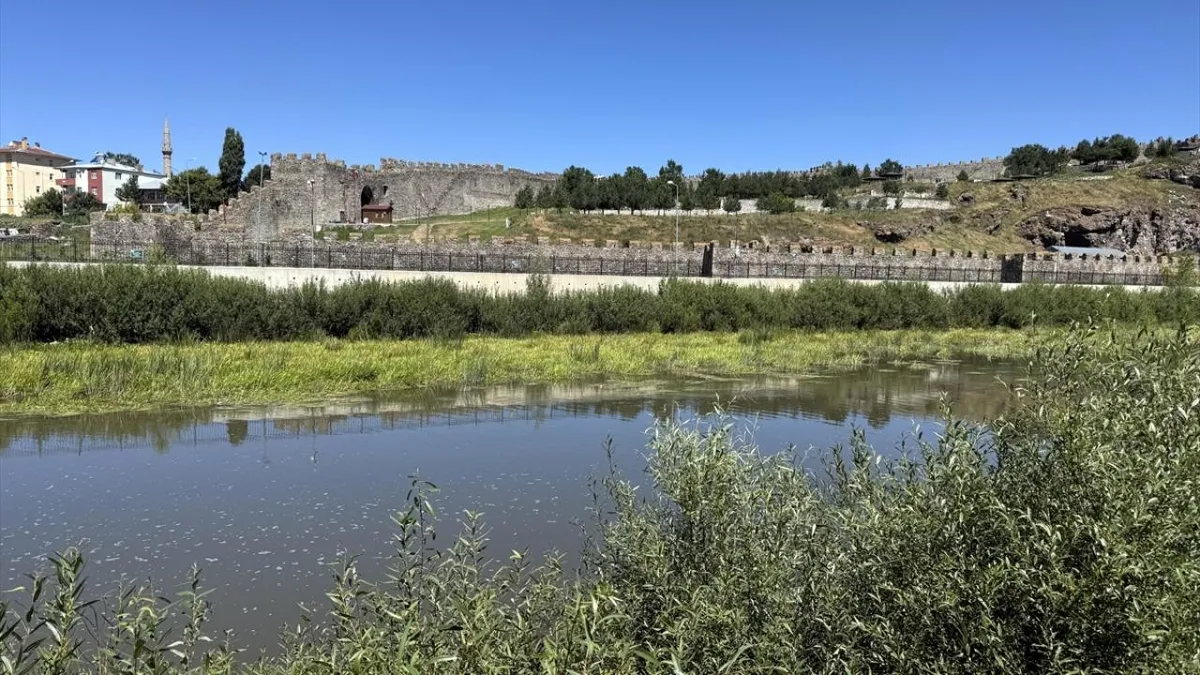 Kura Nehri’nde onlarca balık telef oldu! Ekipler harekete geçti - 1