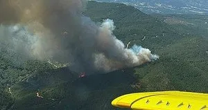 İzmir’de ormanlık alanda yangın