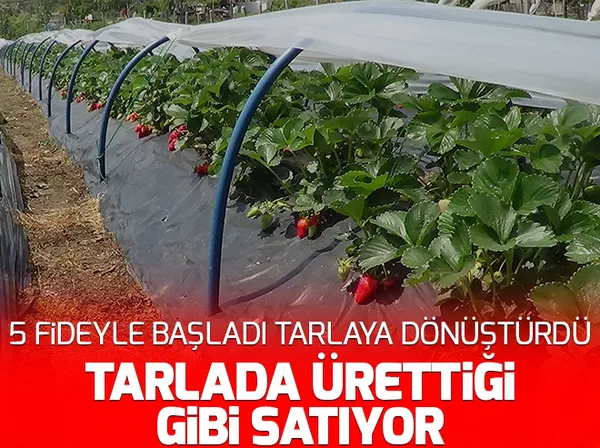 Yargıtay'dan emsal karar: Cenin tazminat kazandı - 1