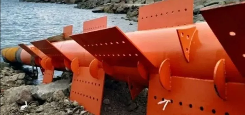 Karadeniz'in dalgaları elektrik üretecek! Tarih belli oldu