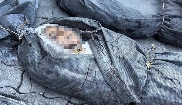 heniyyenin-ogullarinin-oldurulmesi-sonrasi-israil-basinindan-bomba-hamas-itirafi-1712857887296.jpeg