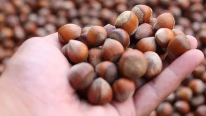 Son dakika: Dövizdeki düşüşle birlikte fiyatı 40 liradan 28 liraya geriledi - 3