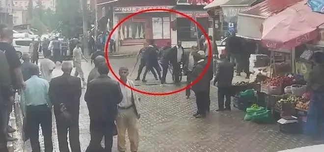 Parktaki tekmeli, yumruklu kavga kamerada