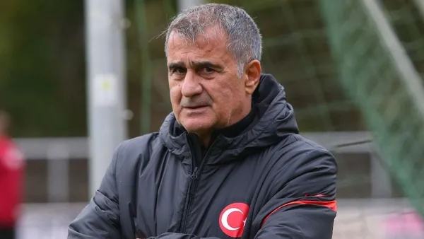 Milli Takım’dan ayrılan Şenol Güneş’e Süper Lig ekibi Başakşehir’den teklif