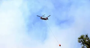 Kahramanmaraş’ta orman yangını!