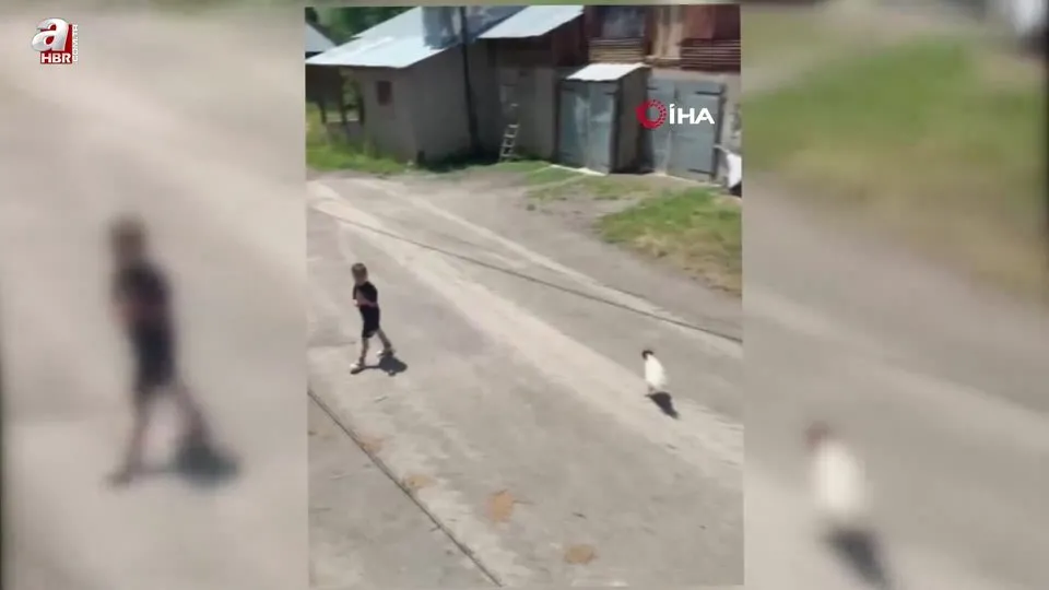 Küçük çocuğun horozla imtihanı: Horoz kovaladı minik Ömer Arda kaçtı