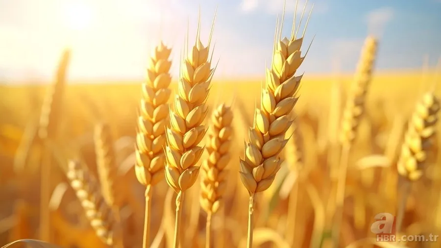 Tansiyon problemi olanlar dikkat: Bu 8 besin resmen şifa oluyor! 9