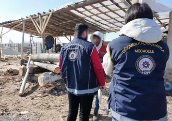 21 göçmen kaçakçısı yakalandı!