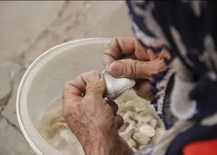 Tunceli'de kendiliğinden yetişen 'Kenger sakızı' kilosu 500 liradan satılıyor