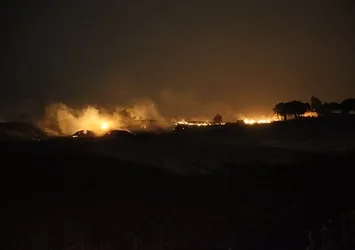 Mardin'de örtü yangını! Alevler kontrol altına alındı