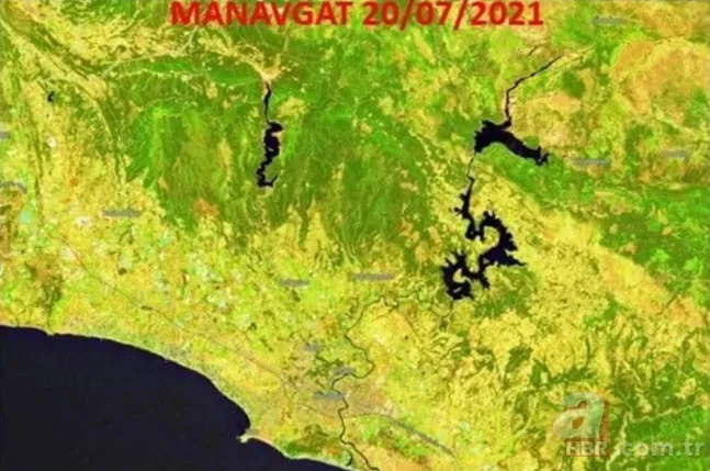 Yürek yakan görüntü! Orman yangınları uydudan böyle görüntülendi 11
