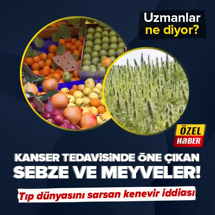 Kanser tedavisinde öne çıkan sebze ve meyveler!