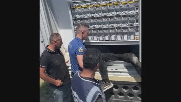 1659067834179.jpg Şehri elektriksiz bıraktı! 'Hırsız fare'yi ter kokusu ele verdi: Kelepçe takmayacaksanız öyle çıkarım - 2