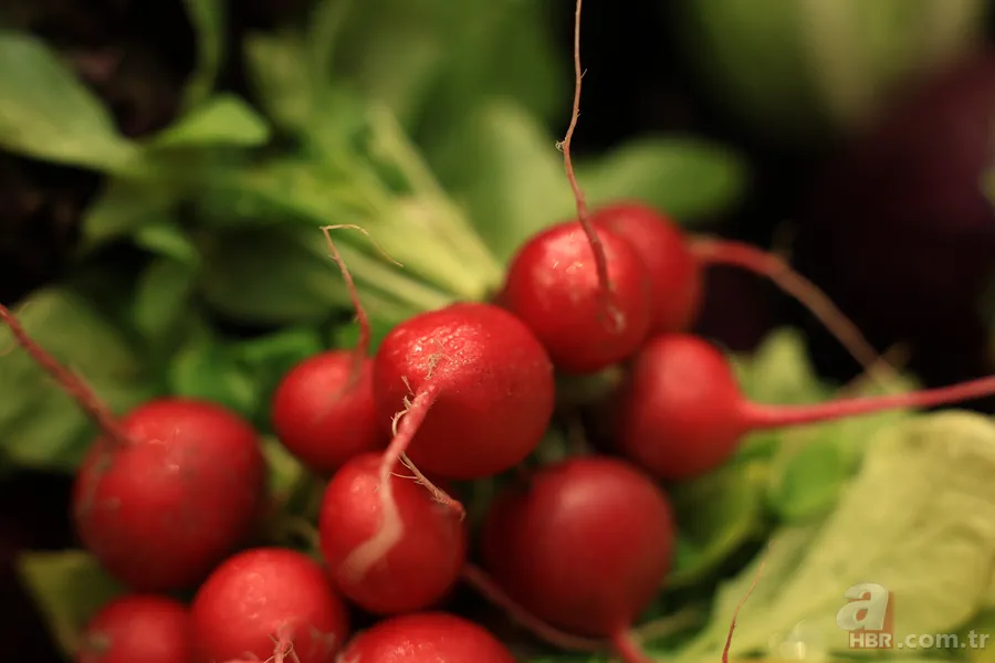 Kış aylarının kurtarıcısı: Tüketen hastalık nedir bilmiyor... 2