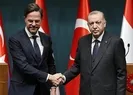 Başkan Erdoğan Hollanda Başbakanı ile görüştü