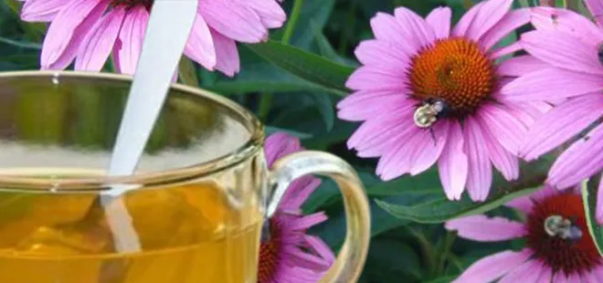 Doğal antidepresan! Faydalarını duyunca şaşıracaksınız...