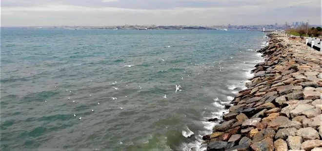 Son dakika: Kadıköy’de İSKİ rezaleti: Arıtma tesisinden bırakılan su denizin rengini değiştirdi! Havadan böyle görüntülendi