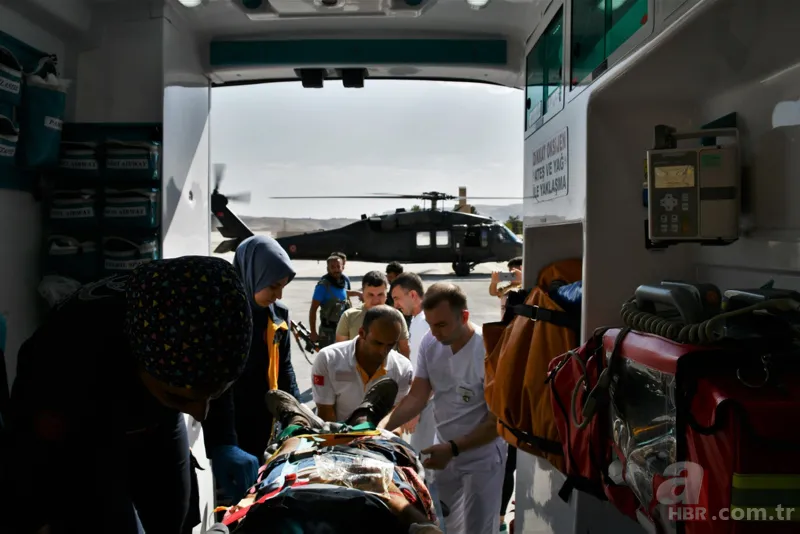 Siirt'te korkunç olay! Hayvanları otlatan çobana yaban domuzları saldırdı 8