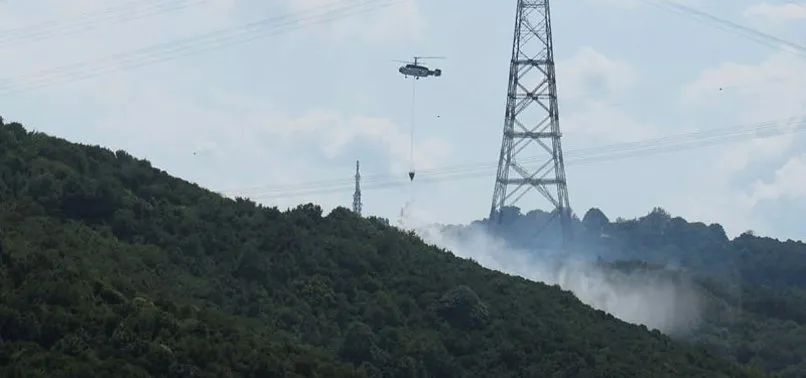 Son dakika: Beykoz Anadolu Kavağı'nda orman yangını!