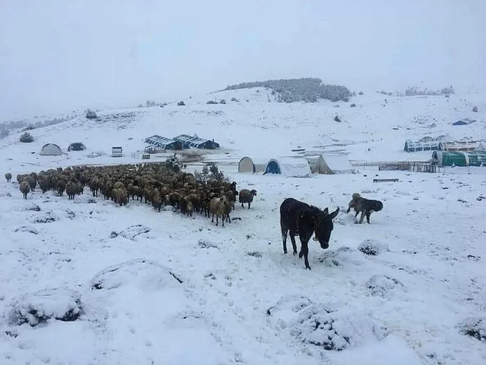 Mevsimin ilk karı düştü! Türkiye beyaza büründü! İşte hasretle beklenen görüntüler - 4
