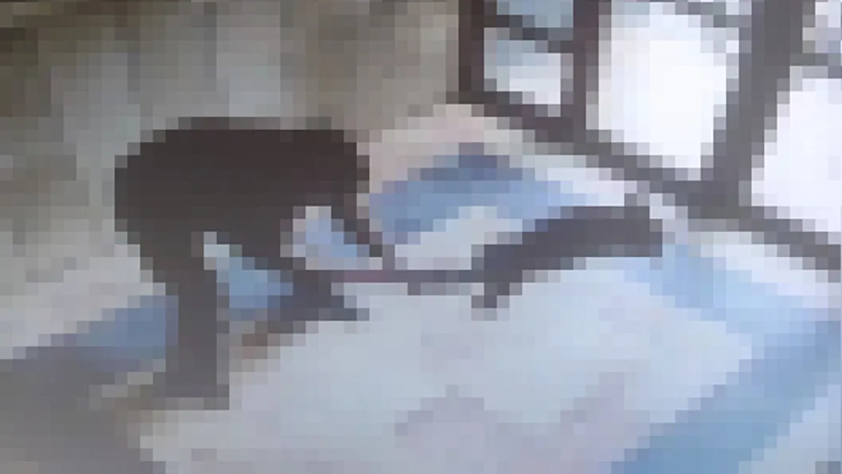 Başakşehir'de kedi katliamı! Cani adamın ifadesi ortaya çıktı: Can düşmanım olarak gördüm