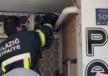Kedi kurtarma operasyonunda ilginç anlar